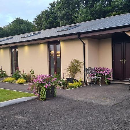 Apartamento The Old Mountain Stables Caerllwyn Ganol Farm Newport  Exterior foto